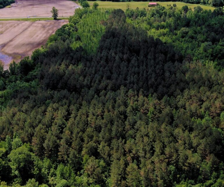 Untitled design(111)