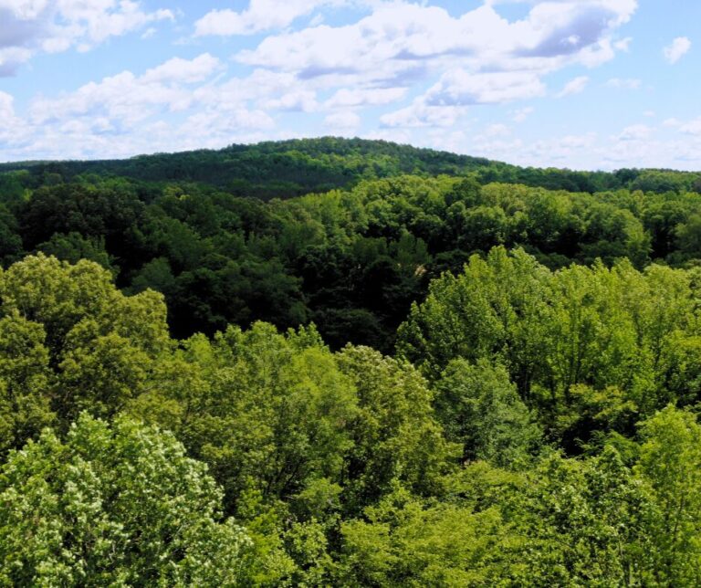 Untitled design(112)