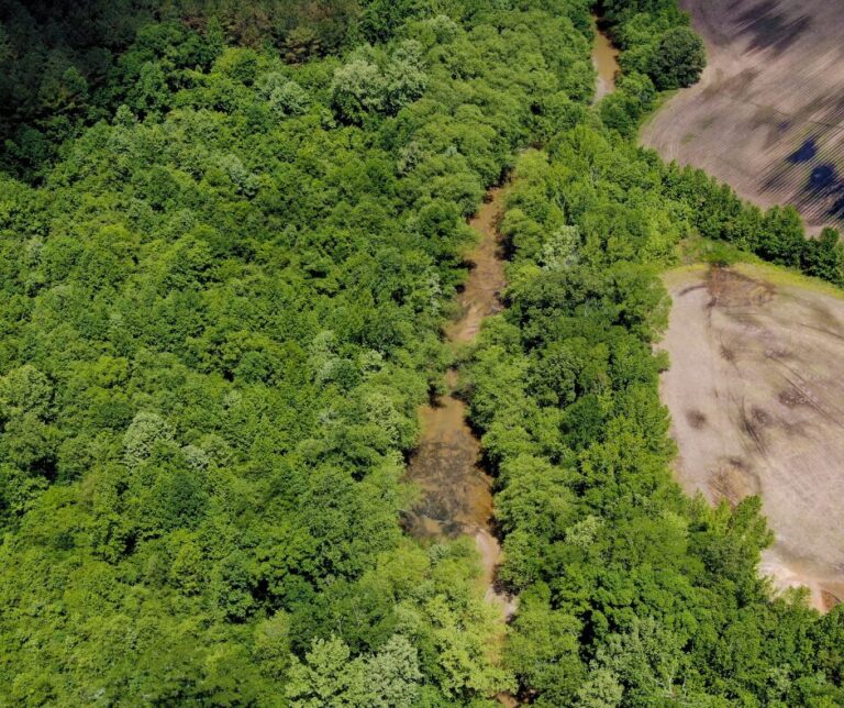 Untitled design(114)