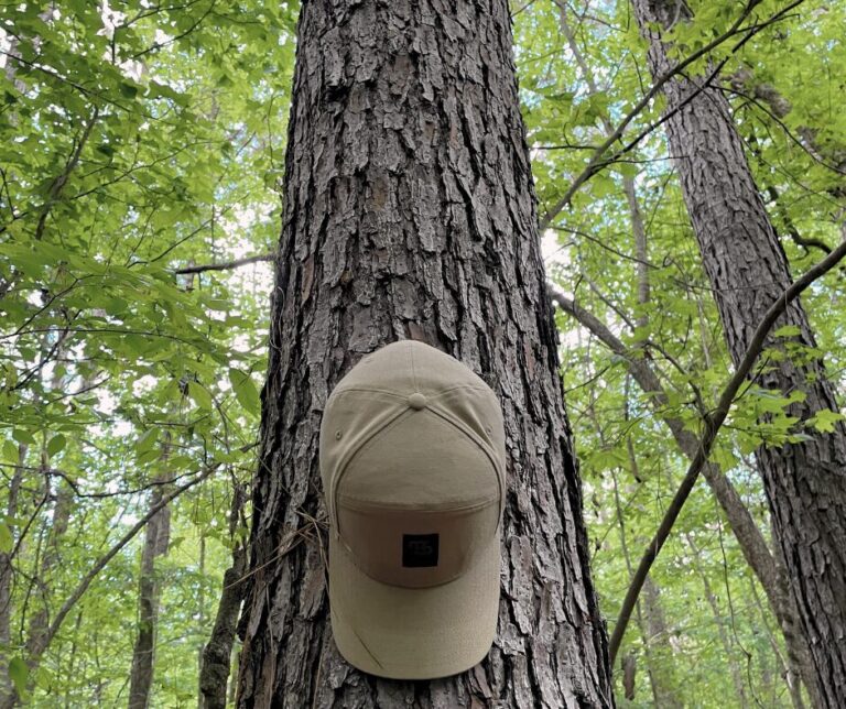 Untitled design(120)