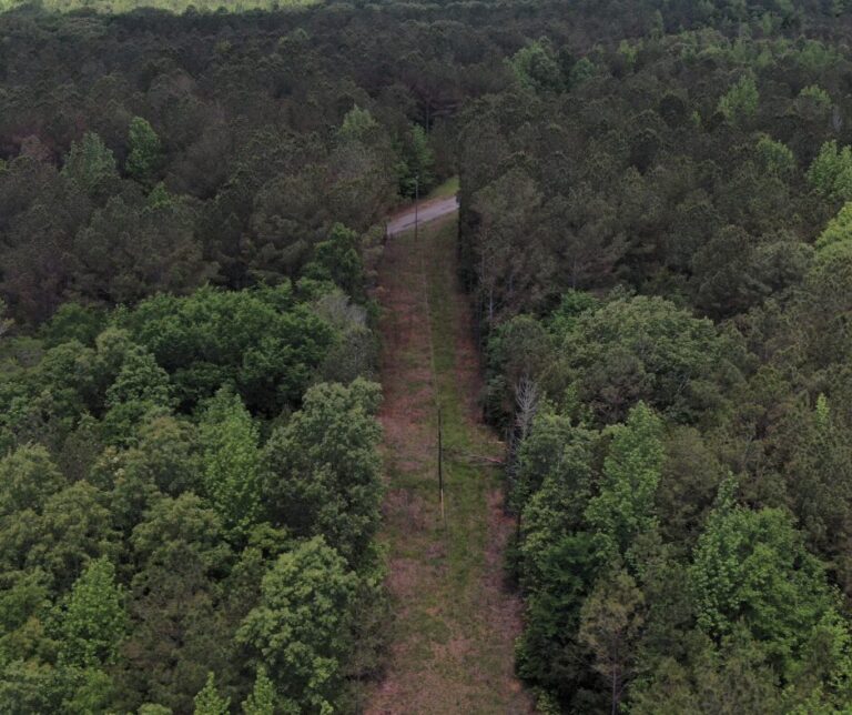 Untitled design(124)