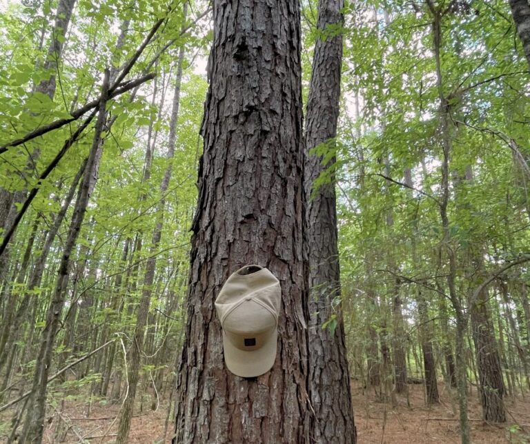 Untitled design(125)