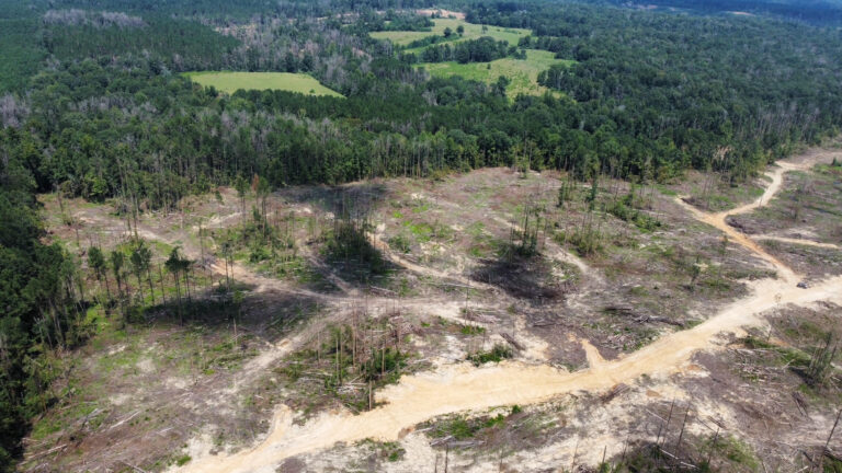 DCIM101MEDIADJI_0987