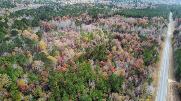 DCIM102MEDIADJI_0192