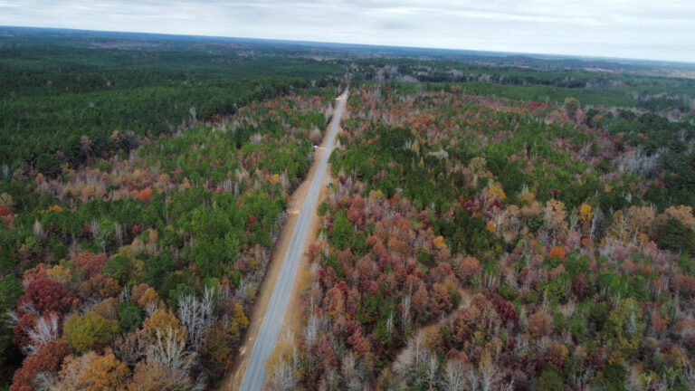 DCIM102MEDIADJI_0194