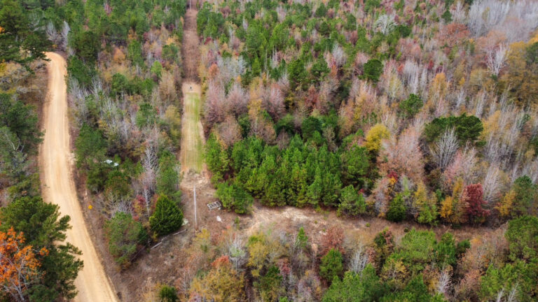 DCIM102MEDIADJI_0197