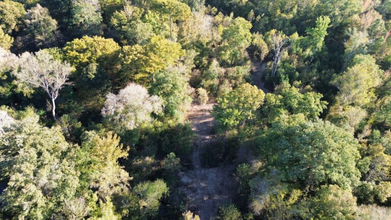 DCIM100MEDIADJI_0969