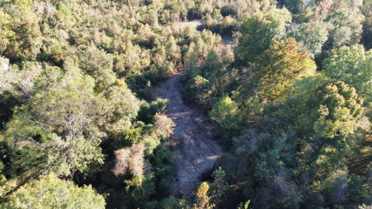 DCIM100MEDIADJI_0973