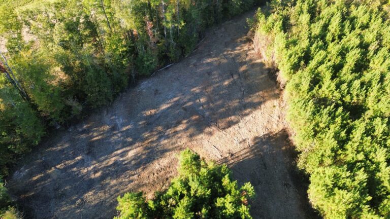 DCIM100MEDIADJI_0986