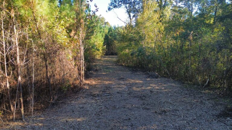 DCIM100MEDIADJI_0989