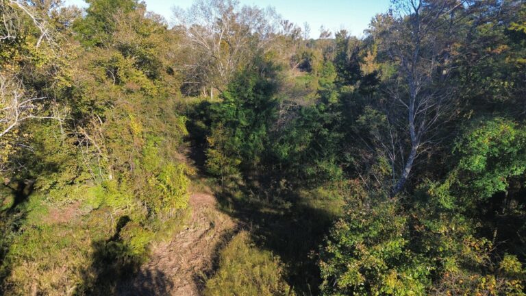 DCIM100MEDIADJI_0990