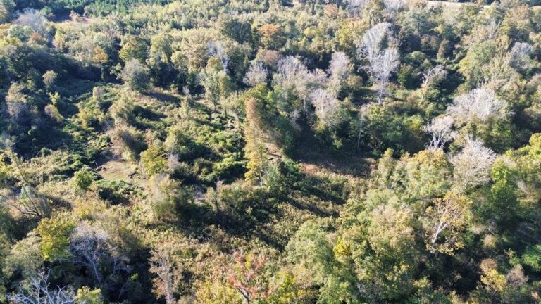 DCIM100MEDIADJI_0998