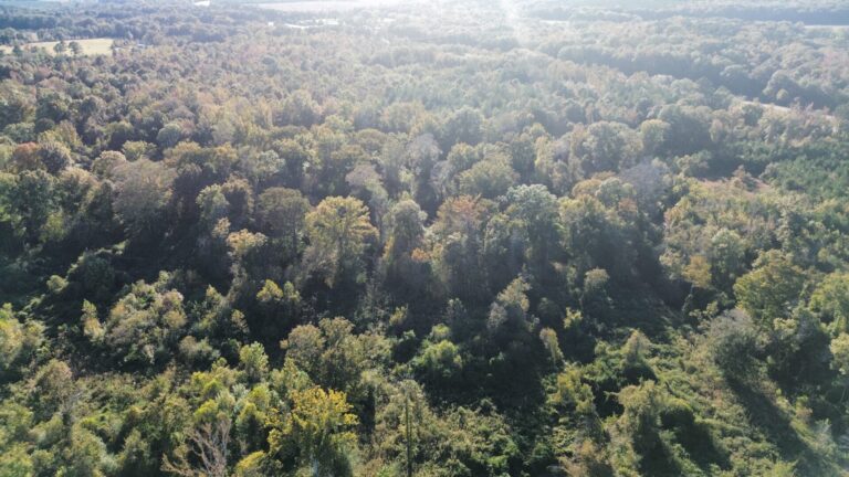 DCIM101MEDIADJI_0001