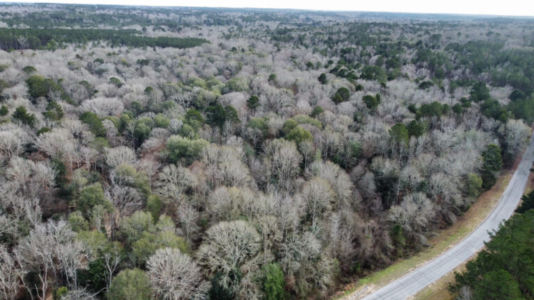 DCIM102MEDIADJI_0260