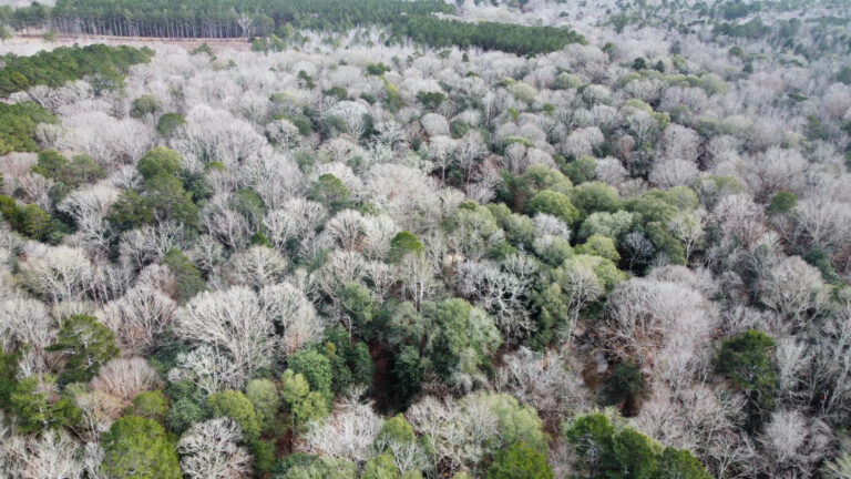 DCIM102MEDIADJI_0261