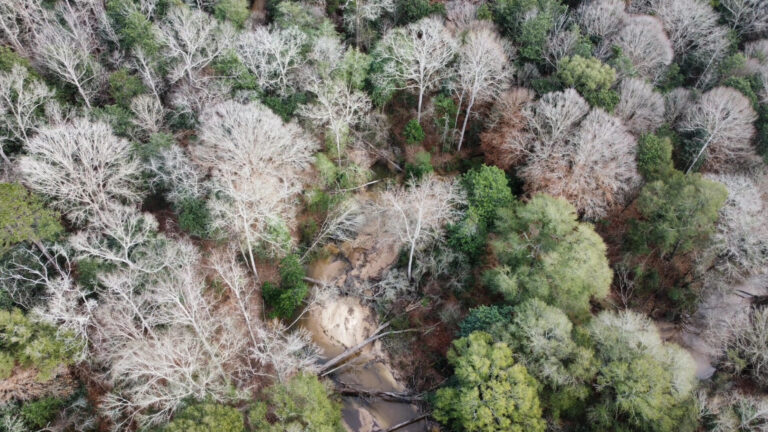 DCIM102MEDIADJI_0262