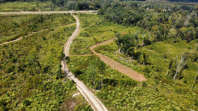 DCIM102MEDIADJI_0094